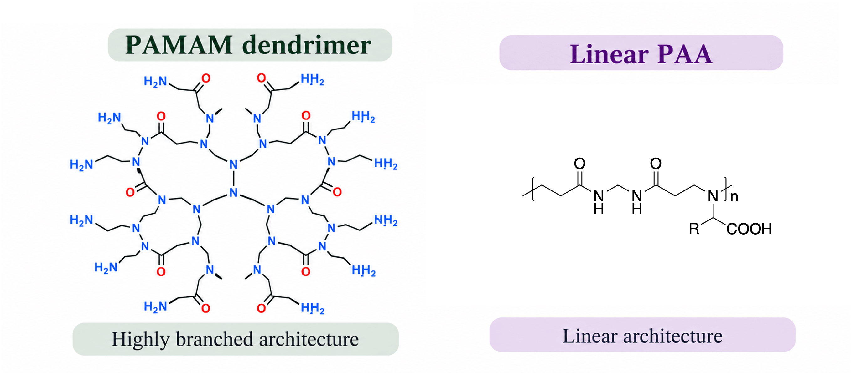 Flame retardant applications of polyamidoamine dendrimers (PAMAM) and linear polyamidoamines (PAAs) in plastics and textiles