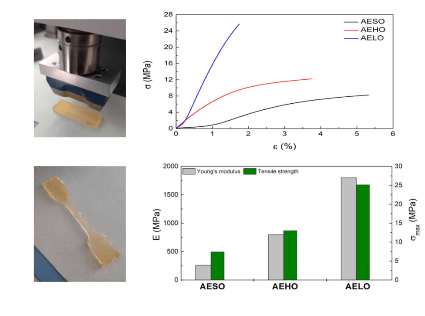 Styrene-free thermosetting resins from vegetable oils