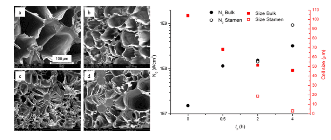 Crystal nucleation, a novel methodology for tunable foam morphology