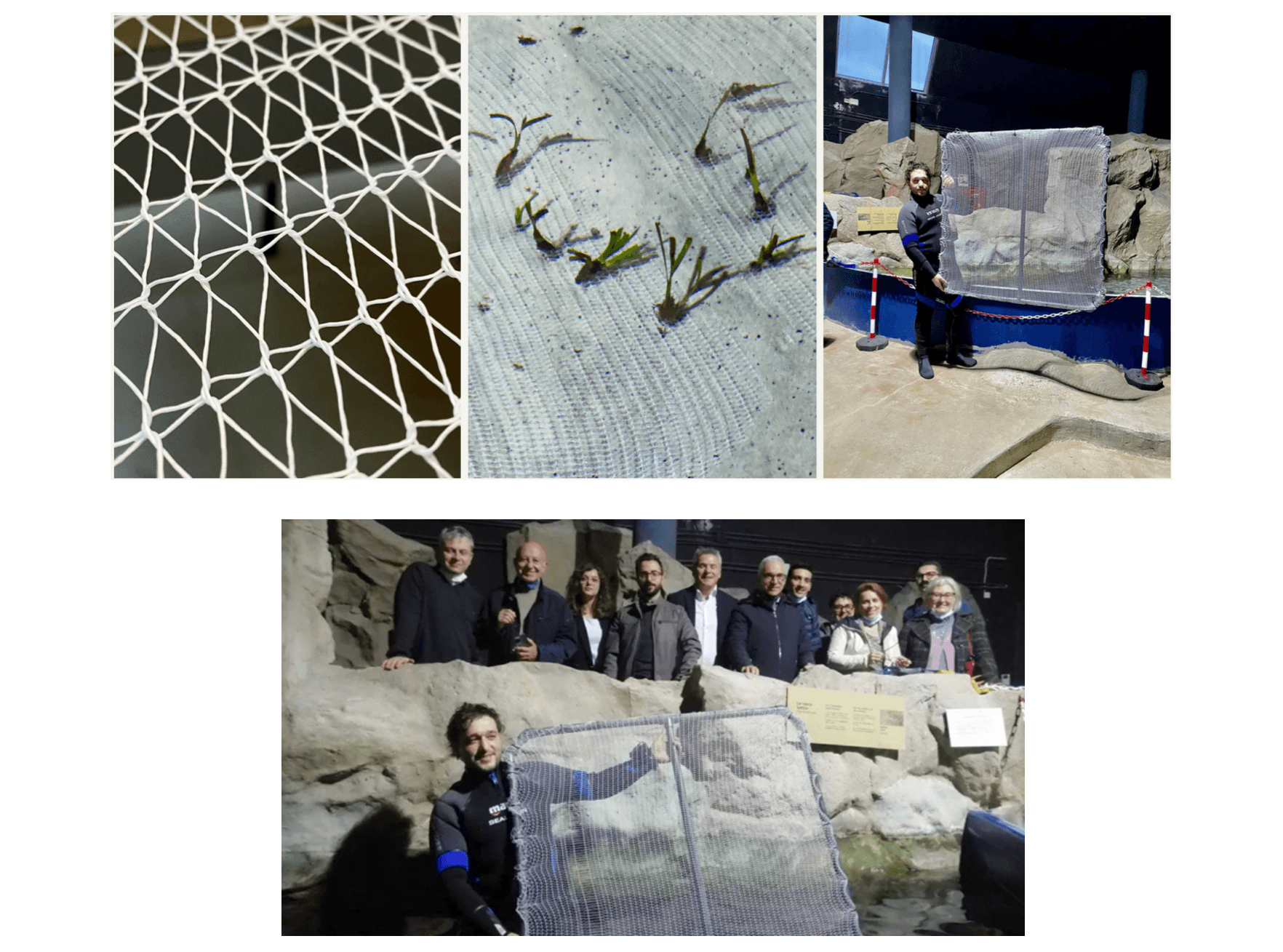 Biodegradable nets for sustainable restoration of Posidonia oceanica meadows